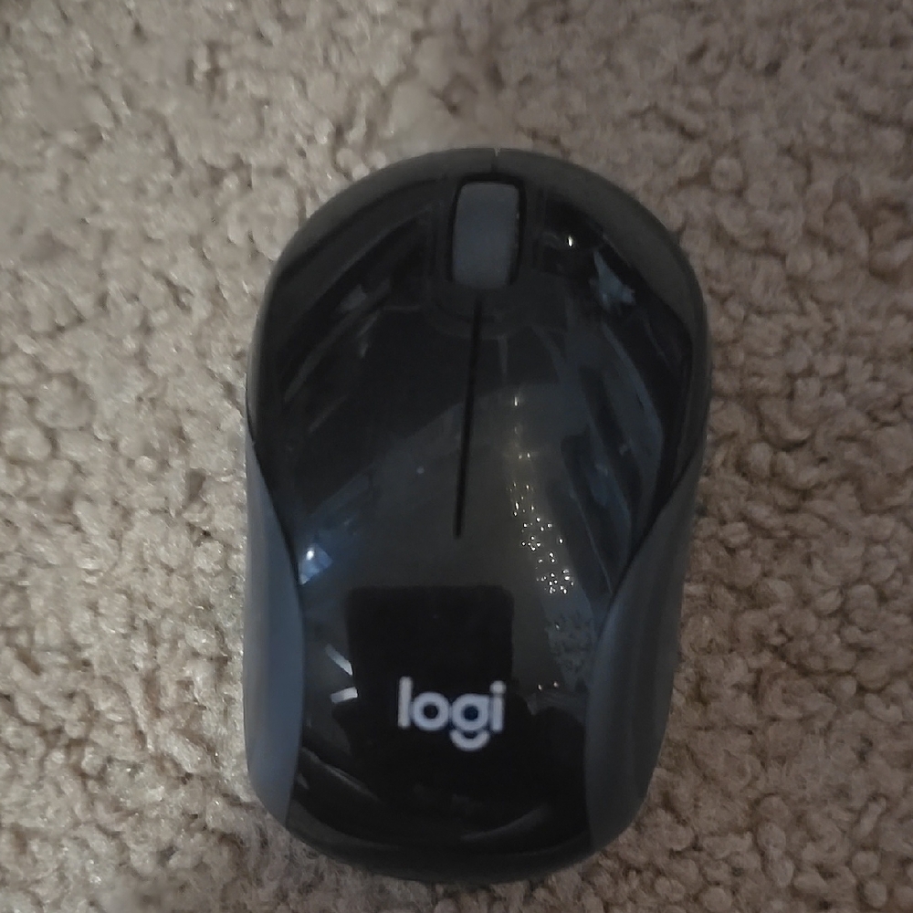 Logitech Black Mini Wireless Mouse